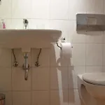 Ξενοδοχείο Alte Post - Am Rhein-ufer 3*