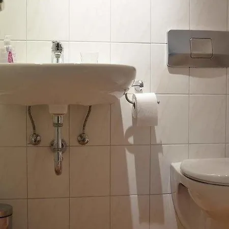 Alte Post - Am Rhein-ufer 3* Лауфенбург